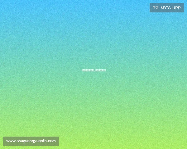 电子竞技节目感悟,电子竞技的感悟